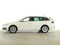Gebraucht Skoda Octavia Style 116 PS (85 kW) 2023 Candyweiß Kombi