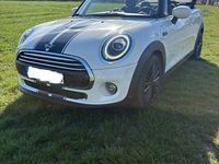 Usata Mini Cooper Cabriolet 136 CV (100 kW) 2020 Bianco Cabrio