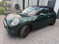 Gebraucht Mini One Cabriolet 136 PS (100 kW) 2016 Grün Cabrio