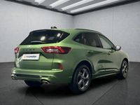 Gebraucht Ford Kuga ST-Line X 186 PS (136 kW) 2024 Grün SUV
