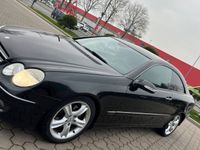 gebraucht Mercedes CLK220 cdi Avantgarde