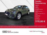 Gebraucht Audi Q5 Basis 204 PS (150 kW) 2023 Grün SUV