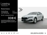Gebraucht Skoda Octavia Ambition 150 PS (110 kW) 2023 Candyweiss Limousine
