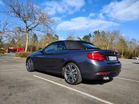 Gebraucht BMW 220 Advantage 190 PS (139 kW) 2019 Grau Cabrio
