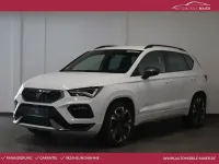 Gebraucht Cupra Ateca 300 PS (220 kW) 2023 Weiß SUV
