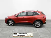 Gebraucht Ford Kuga ST-Line 150 PS (110 kW) 2020 Orange SUV