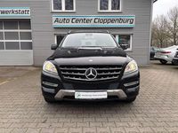 Gebraucht Mercedes ML250 204 PS (150 kW) 2013 Schwarz SUV