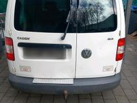 Usata VW Caddy 105 CV (77 kW) 2004 Bianco Monovolume