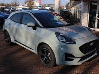 Neu Ford Puma ST-Line 125 PS (91 kW) 2026 Cactus grey Kleinwagen