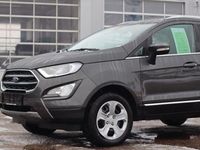 Gebraucht Ford Ecosport Titanium 125 PS (91 kW) 2019 Grau SUV