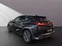 Gebraucht Lexus UX 250h Sport Design Packet 184 PS (135 kW) 2024 Graphite black SUV