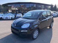 Neu Fiat Panda 65 PS (47 kW) 2026 Schwarz Kleinwagen