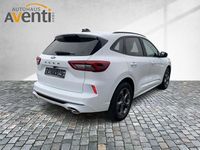 Neu Ford Kuga ST-Line 186 PS (136 kW) 2025 Weiß SUV