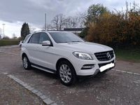 Gebraucht Mercedes ML250 204 PS (150 kW) 2014 Weiß SUV