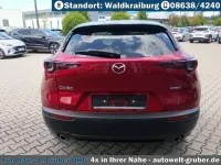 Gebraucht Mazda CX-30 150 PS (110 kW) 2021 Soul red crystal m SUV