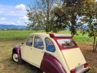 Gebraucht Citroën 2CV 27 PS (19 kW) 1987 Rot Limousine