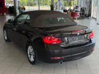 Gebraucht BMW 218 Advantage 136 PS (100 kW) 2018 Braun Cabrio