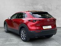 Gebraucht Mazda CX-30 Selection 122 PS (89 kW) 2020 Rot SUV