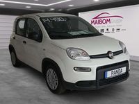 Gebraucht Fiat Panda 69 PS (50 kW) 2024 Weiß Kleinwagen
