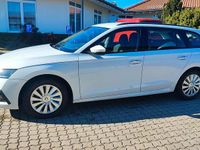 Gebraucht Skoda Octavia 115 PS (84 kW) 2021 Weiß Kombi