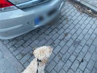 Gebraucht Opel Astra 105 PS (77 kW) 2008 Silber Coupé