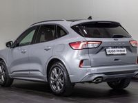 Gebraucht Ford Kuga ST-Line X 150 PS (110 kW) 2024 Silber SUV