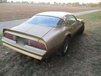 gebraucht Pontiac Trans Am Targa