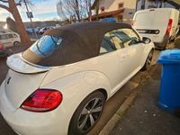 gebraucht VW Beetle 1.2 TSI BMT ALLSTAR Cabriolet ALLSTAR