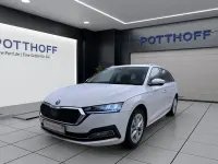 Gebraucht Skoda Octavia Style 116 PS (85 kW) 2023 Candyweiß Kombi