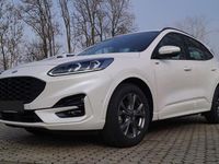 Gebraucht Ford Kuga ST-Line 111 PS (81 kW) 2023 Weiss SUV