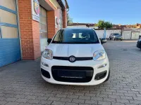 Gebraucht Fiat Panda 69 PS (50 kW) 2022 Weiß Kleinwagen