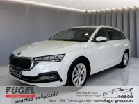 Gebraucht Skoda Octavia Style 150 PS (110 kW) 2023 Candyweiss Kombi