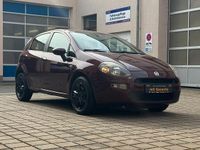 Gebraucht Fiat Punto Easy 69 PS (50 kW) 2012 Rot Kleinwagen