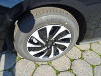 Neu Ford Focus Titanium 155 PS (114 kW) 2025 Obsidianschwarz metallic Kleinwagen