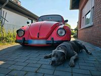 Gebraucht VW Käfer 34 PS (25 kW) 1974 Rot Coupé