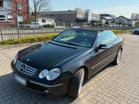 Gebraucht Mercedes CLK200 163 PS (119 kW) 2004 Schwarz Cabrio