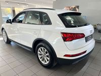 Gebraucht Audi Q5 Basis 163 PS (119 kW) 2020 Weiß SUV
