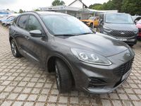Gebraucht Ford Kuga ST-Line X 120 PS (88 kW) 2024 Magnetic (metallic) SUV