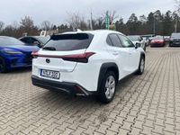 gebraucht Lexus UX 250h Crossover F-Sport Design Sondermodell