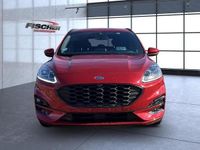 Gebraucht Ford Kuga ST-Line 150 PS (110 kW) 2023 Rot (lucidrotmetallic) SUV