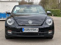 Gebraucht VW Beetle Cabriolet Design 160 PS (117 kW) 2013 Schwarz Cabrio
