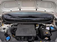 Gebraucht Kia Picanto 68 PS (50 kW) 2017 Weiß Kleinwagen