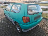 Usata VW Polo 45 CV (33 kW) 1996 Verde Utilitaria