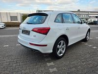 Gebraucht Audi Q5 S-Line 258 PS (189 kW) 2016 Weiß SUV