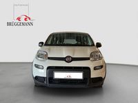 Gebraucht Fiat Panda 69 PS (50 kW) 2023 (weiss) Kleinwagen
