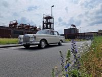 Gebraucht Mercedes 220 120 PS (88 kW) 1963 Beige Limousine