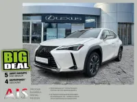 Gebraucht Lexus UX 250h 184 PS (135 kW) 2023 Titaniumweiß SUV
