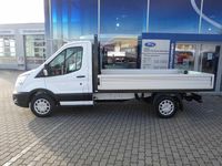 Neu Ford Transit Trend 131 PS (96 kW) 2025 Frozen white SUV