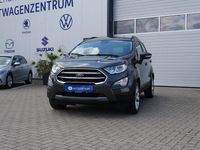 Gebraucht Ford Ecosport Titanium 125 PS (91 kW) 2022 Grau SUV