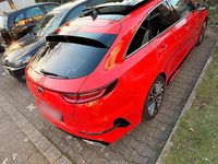 Gebraucht Kia ProCeed GT GT 204 PS (150 kW) 2019 Rot Kleinwagen